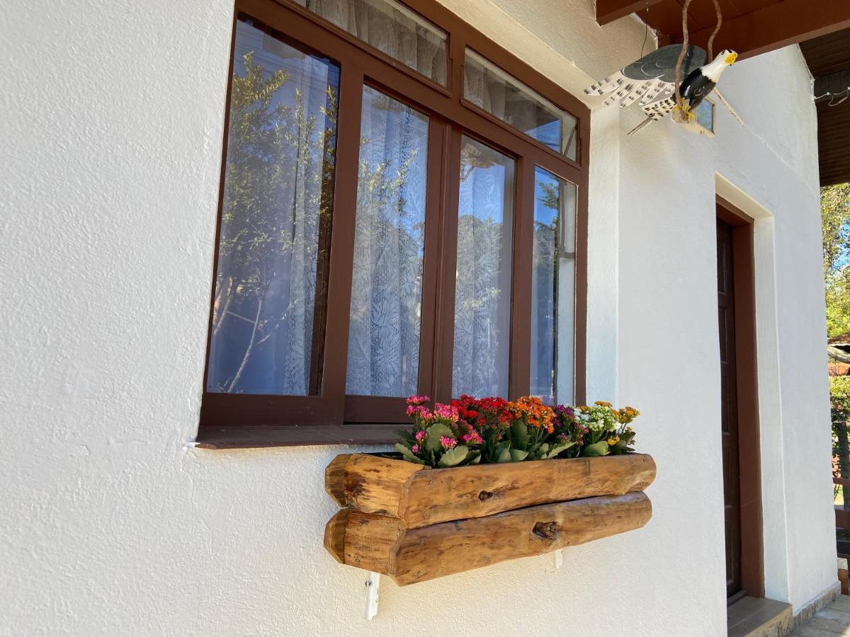 Chalé House Falkenberg Monte Verde  Esterno foto